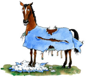 http://horsesatwork.weebly.com/uploads/4/5/5/9/4559426/published/blanket-repair-horse.png?1620086555